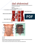 Cavidad Abdominal