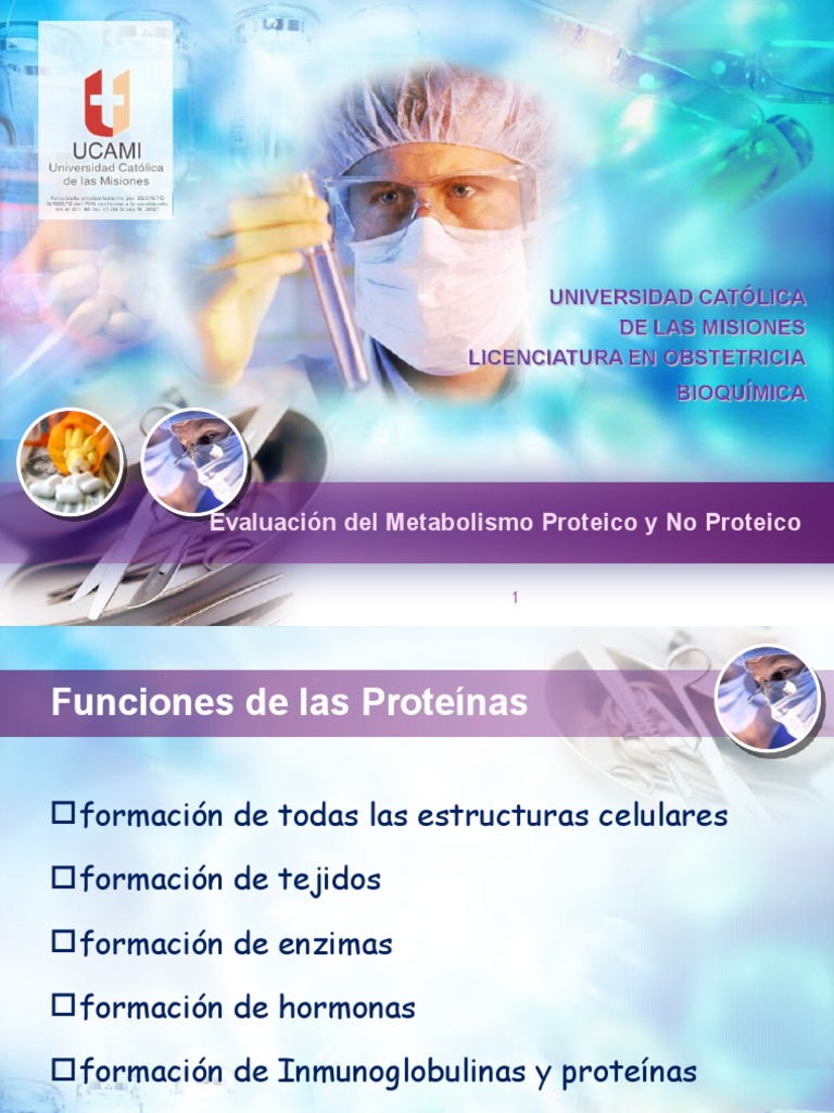 Eval Metabolismo Nitrog Proteico No Proteico | PDF
