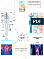 Biologia Mapa Mental