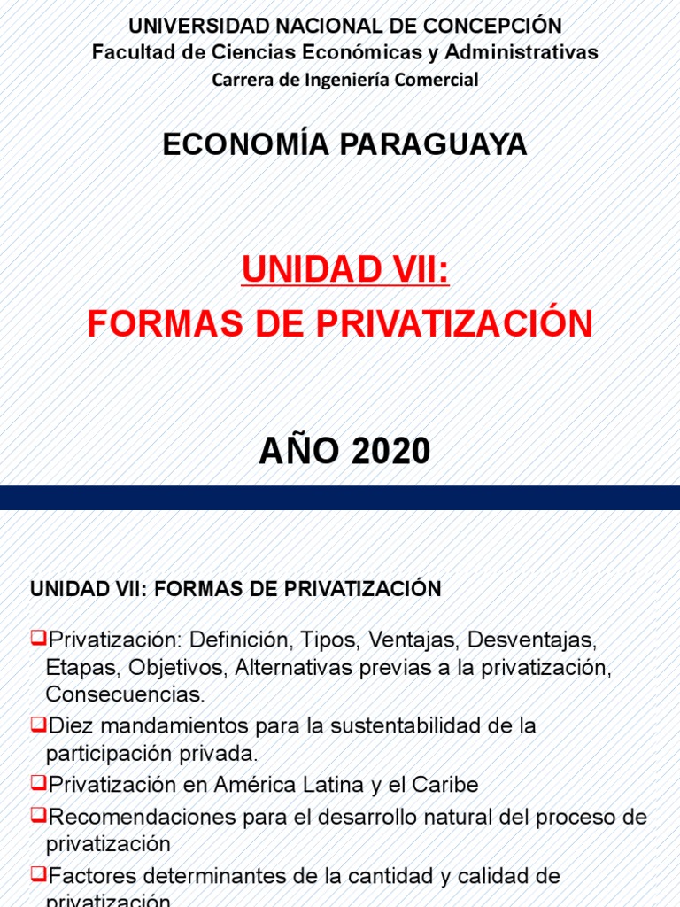 Formas y Consecuencias de la Privatización | PDF | Privatización ...