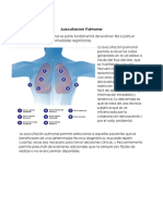 Auscultacion Pulmonar