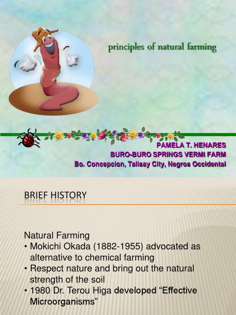 Pam Principles Of Natural Farming Ver 3 Pdf Soil Milk