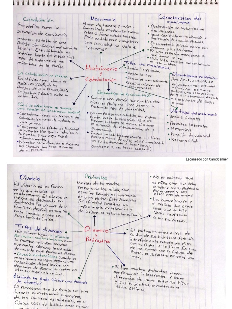 Mapas Mentales | PDF