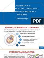 Semana 5 Matriz Extracelular Citoesqueleto Inclusiones y Ribosomas