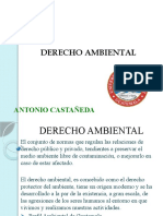 DERECHO AMBIENTAL 01