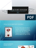 Excretory System: Group Members - Ronit, Saumya, Yash, Ishan, Arnav, Amaan, Sanil Grade - 7 Section - A