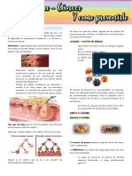 Estilos de vida y cáncer: prevención con dieta, ejercicio y estilo de vida saludable