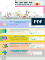 Potencial de Acción Cardiaca