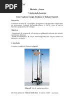 RODA de MAXWELL Guia - Ana Amaral 2018