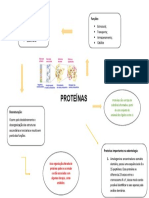 Estruturas e funções das proteínas