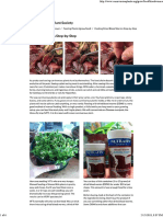 (Adubo) Feeding Dried Blood Worms Step-by-Step - ICPS