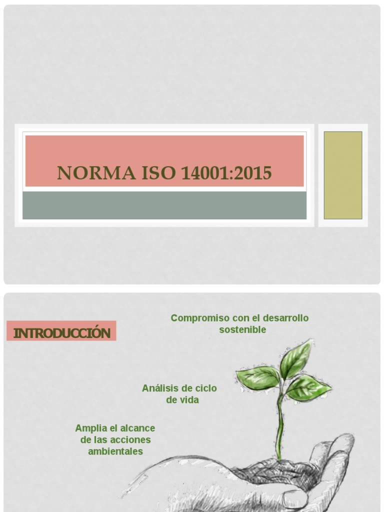 Interpretación de la Norma ISO 14001:2015 | PDF | Auditoría | Planificación
