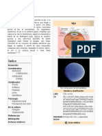 Índice: Evolución Invertebrados