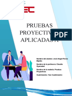 2023 02 10 23 26 47 FJ141046170 PROYECTO PRUEVAS PROYECTIVAS - Jose Angel Flores