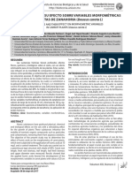 Efecto de Ácidos Húmicos en Zanahoria