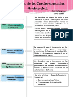 Historia Contaminación Ambiental