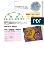 Mathpower Exponents 1