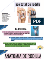 RODILLA 