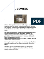 proyecto de conejos