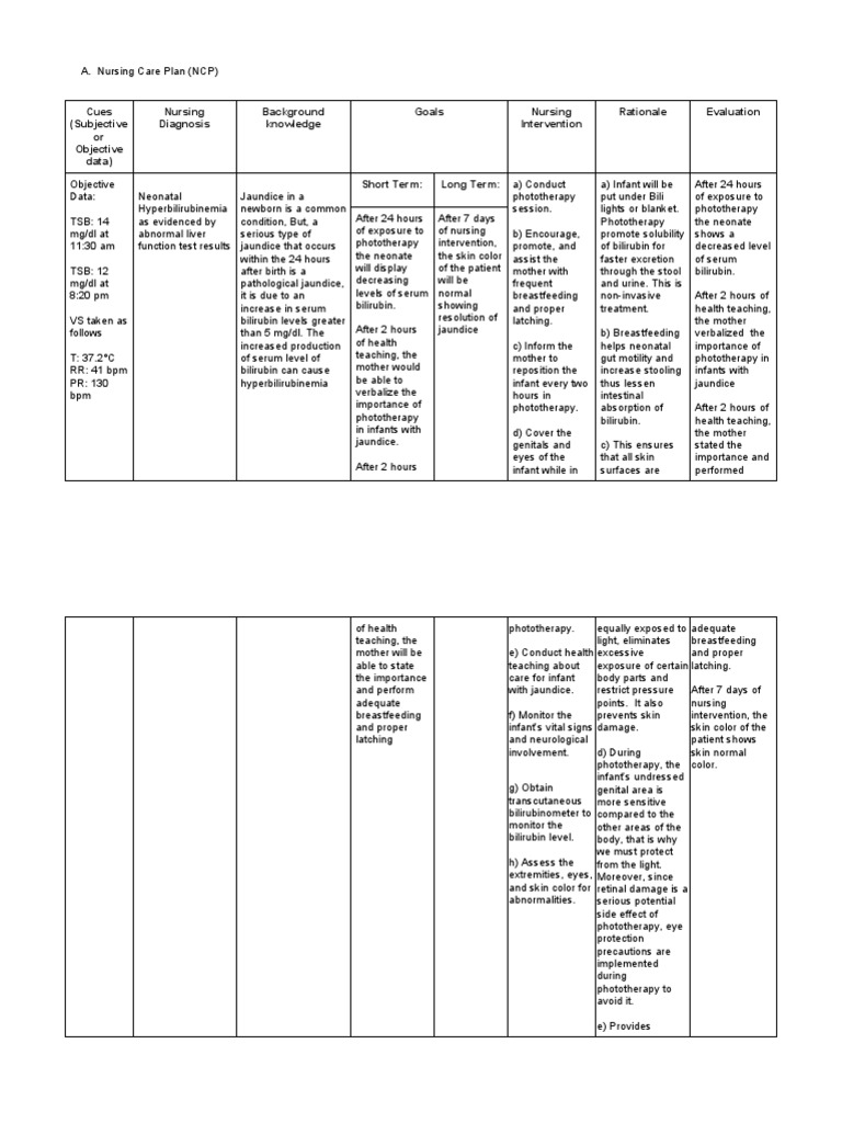 Nursing Care Plan (Jaundice) | PDF | Breastfeeding | Clinical Medicine