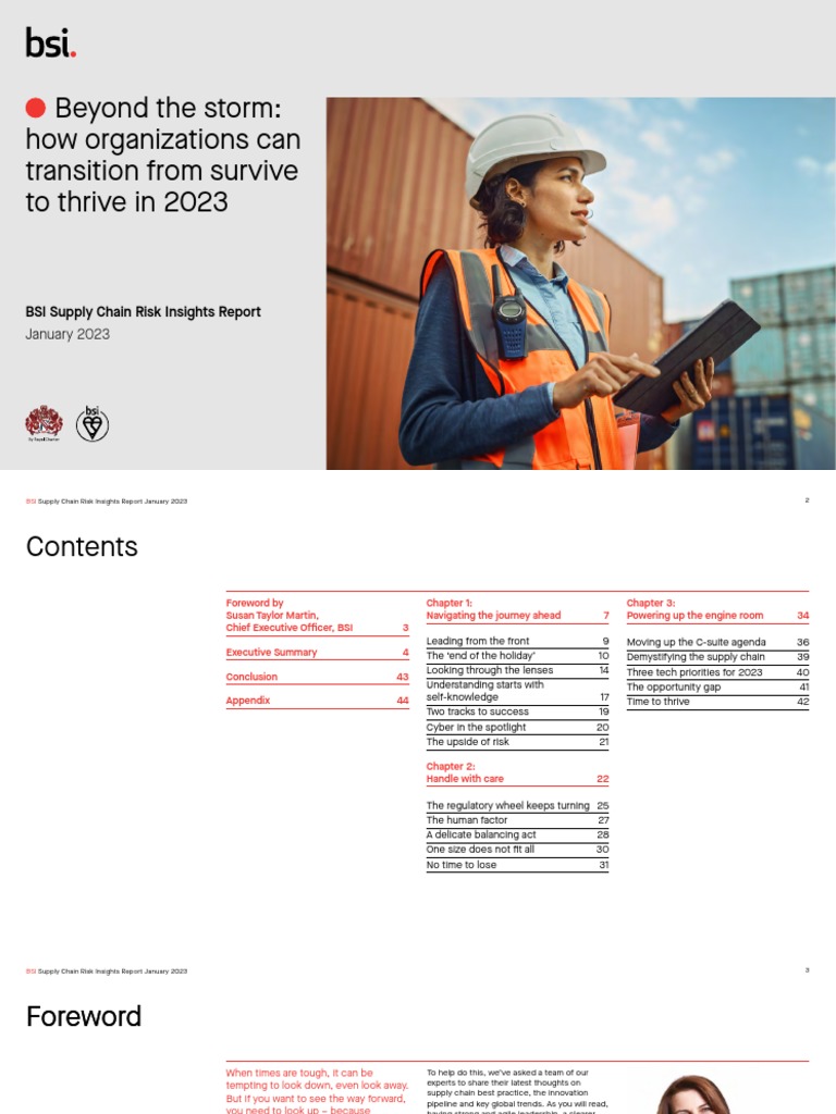 BSI Supply Chain Risk Insights Report 2023 | PDF | Cost Of Living ...