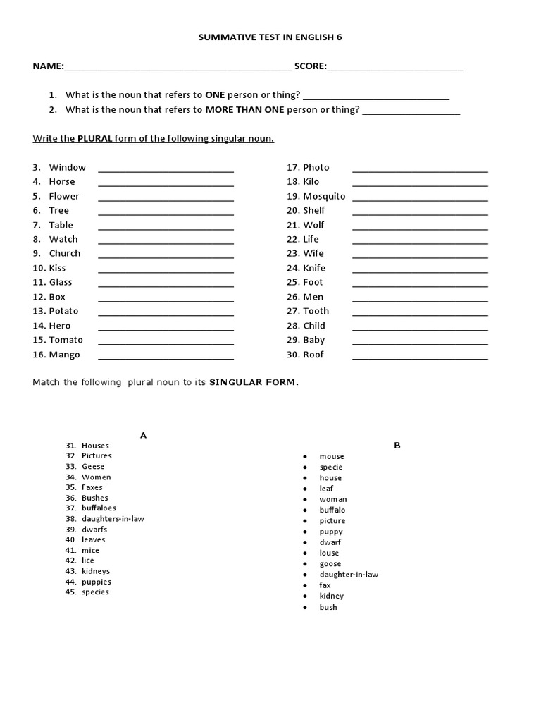 Plural Nouns Summative Test for Grade 6 | PDF | Morphology | Syntax