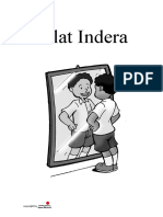 Alat Indera Progesif