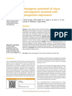 PDF 12