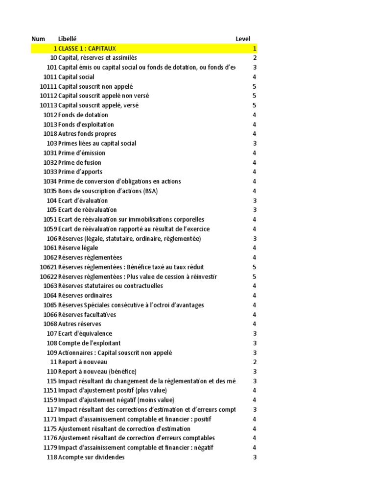 Plan Comptable Algerien | PDF | Immobilisations | Facture