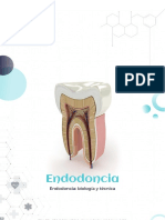 Endo Donci A