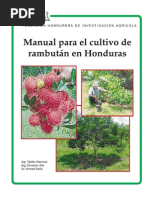 Download Manual Rambutan by Jesus Tapia SN62868572 doc pdf