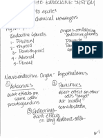 Bio172 Endocrine Notes