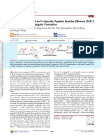 !!!! Photoconjugation of An Fc-Specific Peptide