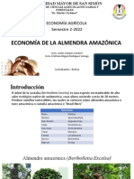 Economia de La Almendra Amazonica