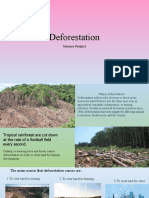  Deforestaion