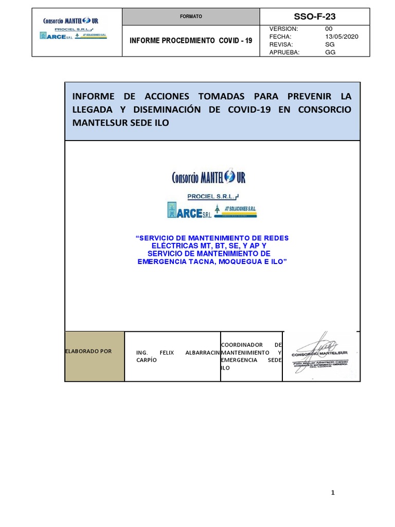Informe De Acciones Tomadas Frente Al Covid 19 Ilo Pdf Enfermedades