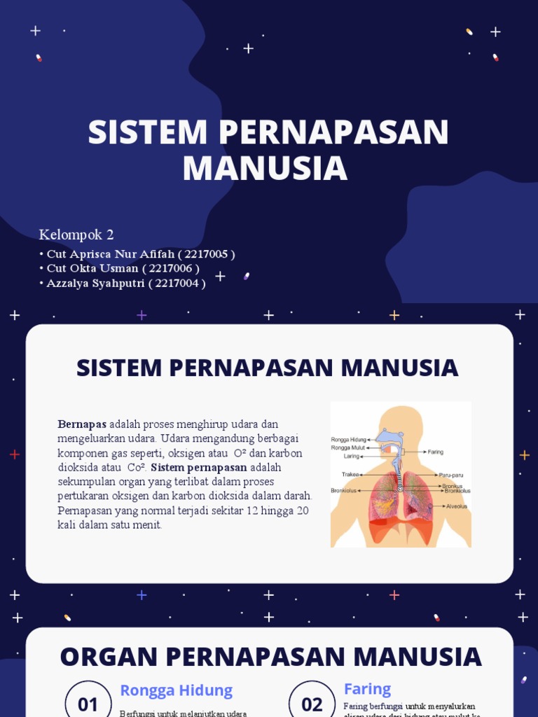 Sistem Pernafasan Pada Manusia | PDF