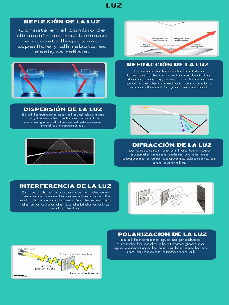 4-A Tsmec Infografia | PDF