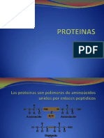 PROTEINAS PRESENTACION proteinas 1111