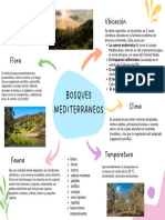 Bosques mediterráneos: flora, fauna y ubicación en 5 zonas climáticas