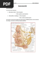Download Nervio Facial by Matias Ignacio Parra Stuardo SN62873069 doc pdf