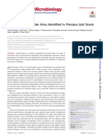 A Novel Polycipiviridae Virus Identified in Pterop