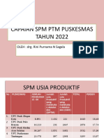 Capaian SPM Puskes