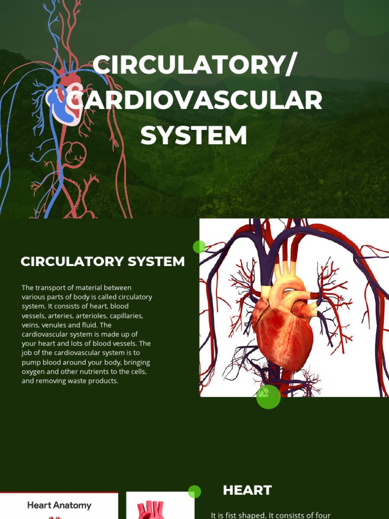 CARDIOVASCULAR - SYSTEM Group No.3 MODULE | PDF | Heart | Blood