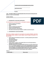 Informe de Detección de Necesidades Educativos