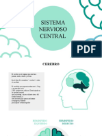 Anatomia Sistema Nervioso