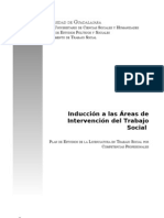 Induccion a Las Areas de Intervencion Del Trabajo s