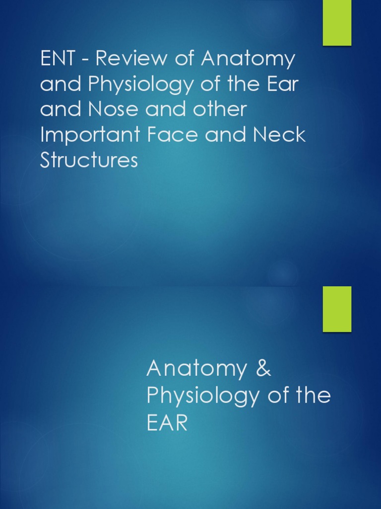 W1-1 Review of Anatomy and Physiology of The Ear and Nose and Other ...