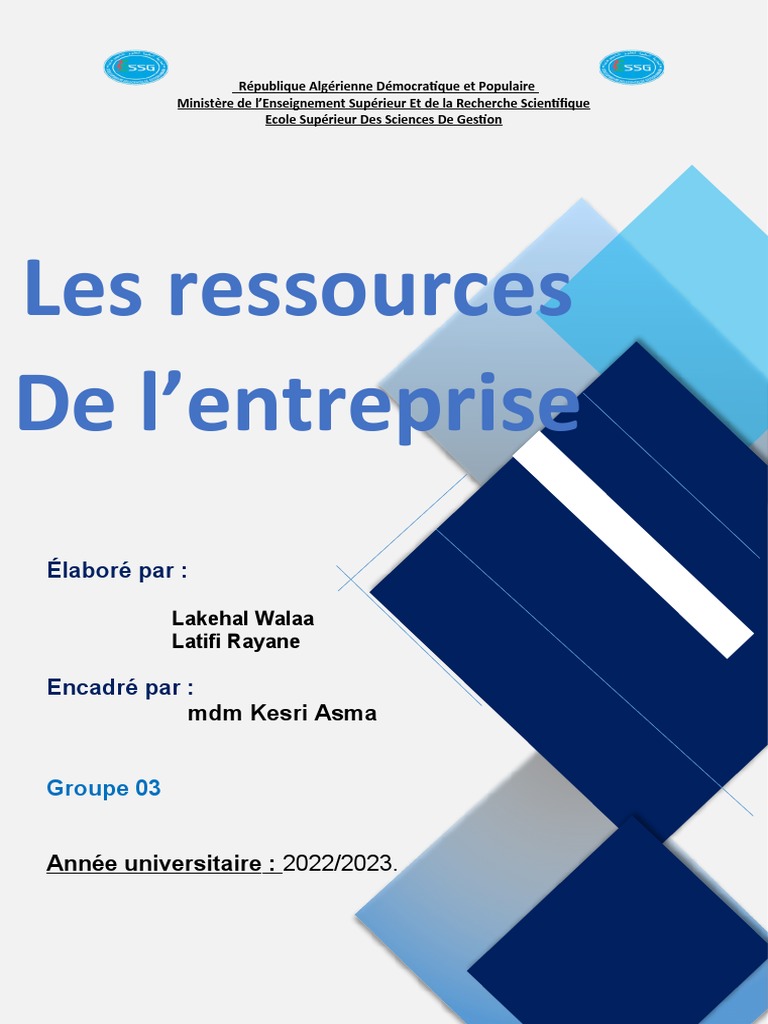 Types de ressources en entreprise | PDF | Business | Capital (Économie)
