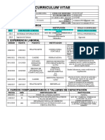 CV Ernesto Alanez Copa Cajero